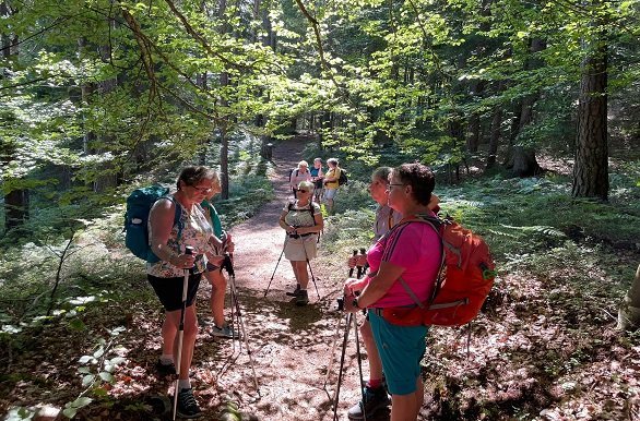 Karinthië wandelen