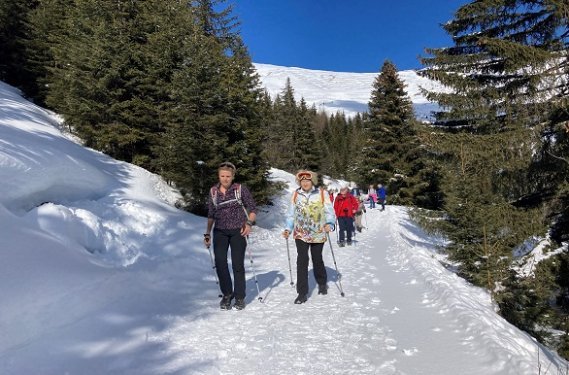 Wandelaars in de winter Wandelaars in de winter