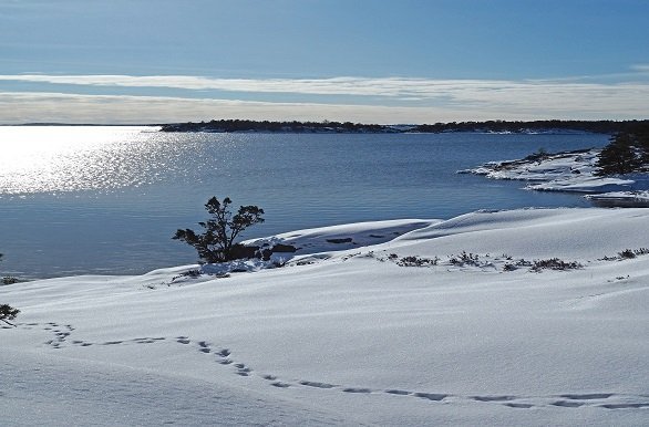 Stockholm winter