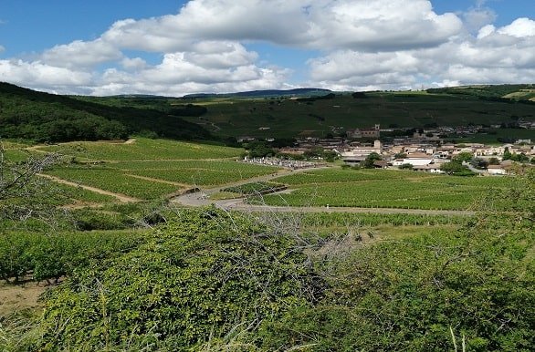 Fietsvakantie Veloroute du Soleil Fital Vakanties Fleurie