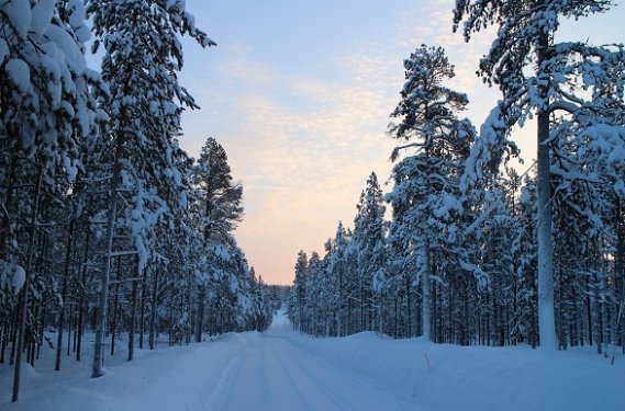 Weg door de sneeuw