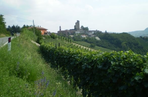 Onbegrensd fietsen naar de Riviera en de Provence - Menton