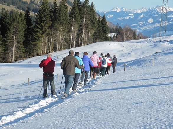 Sneeuwschoen wandelaars