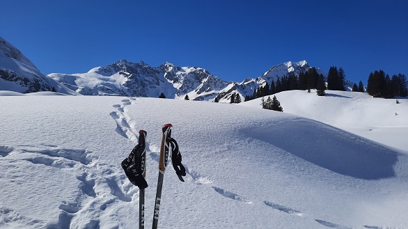 Stokken in de sneeuw