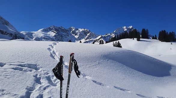 Stokken in de sneeuw