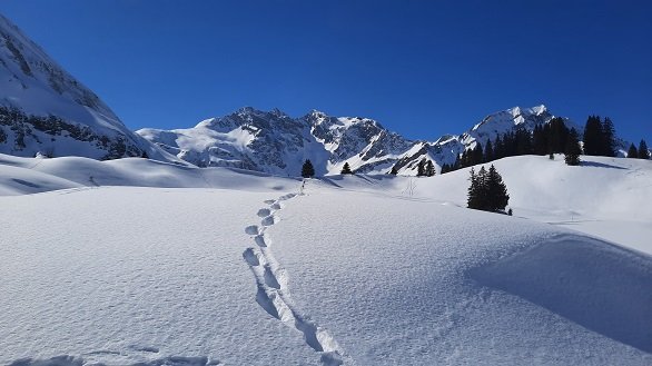 Voetstappen in de sneeuw