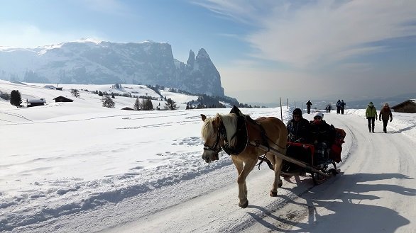 Wandelaars in de sneeuw met arreslee