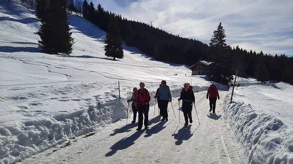 Wandelaars met tegenlicht