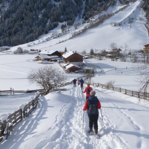 Sneeuwschoenwandelen in het Gschnitztal 