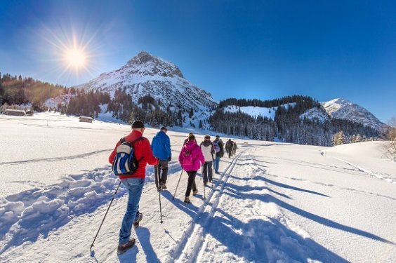wandelaars op rug winter wandelaars