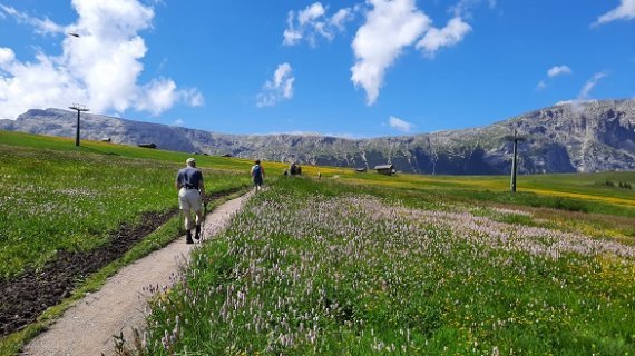 Wandelaars in de Dolomieten Wandelaars in de Dolomieten