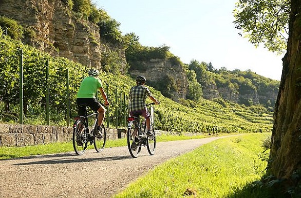 Alsenztal fietspad