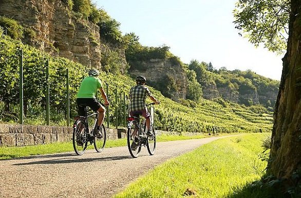 Alsenztal fietspad