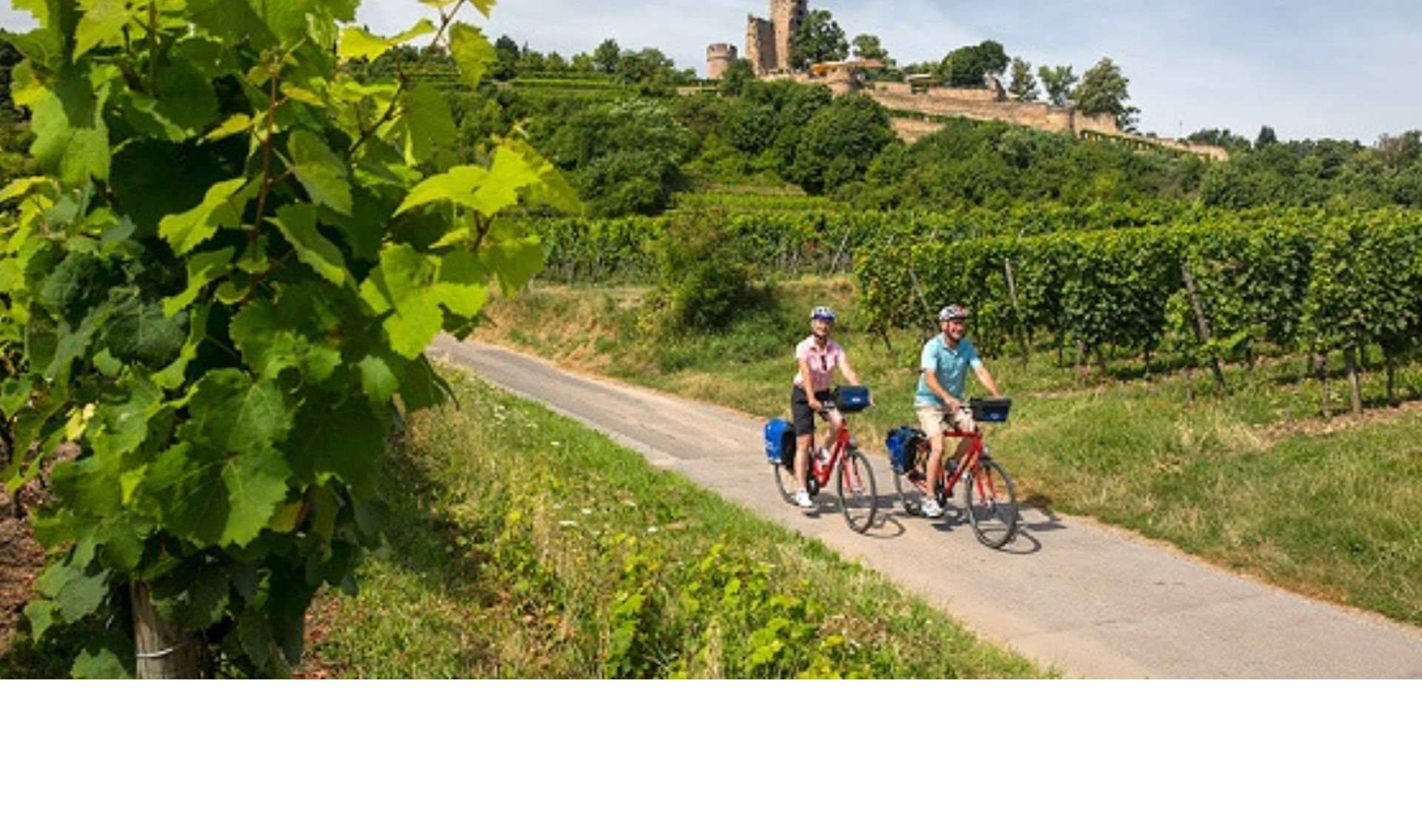 Fietsen over de Duitse Weinstrasse