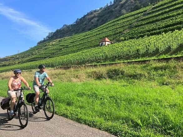 Fietsers bij wijnhellingen