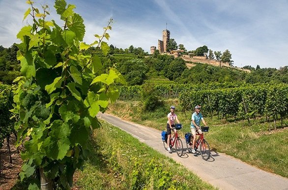 Fietsers met kasteel Deutsche Weinstrasse