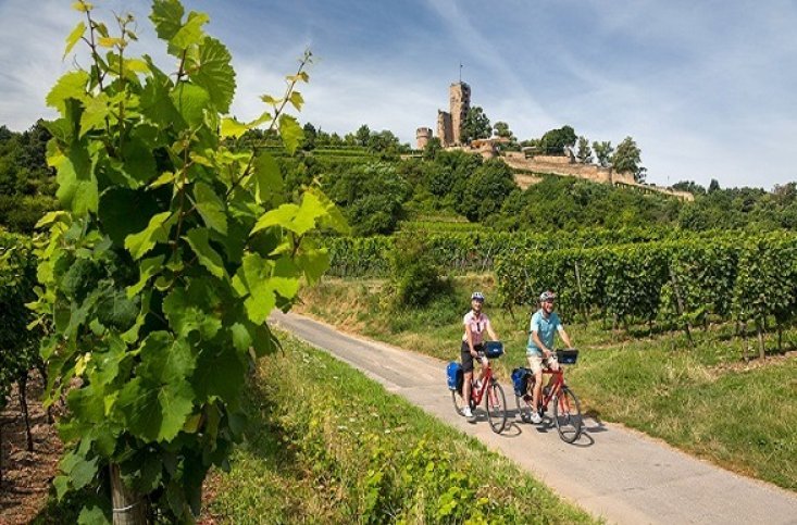 Fietsers met kasteel Deutsche Weinstrasse Fietsers met kasteel Deutsche Weinstrasse