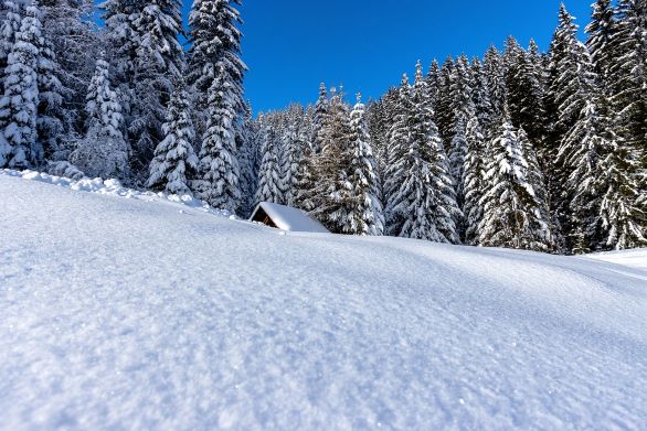 wintersfeer