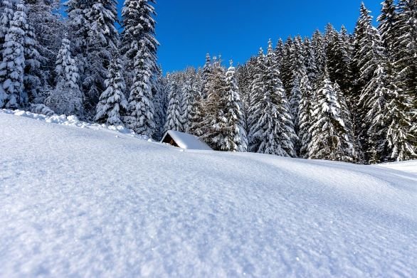 wintersfeer