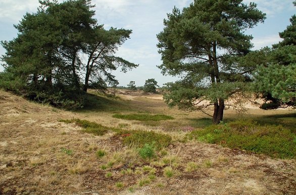 Drenthe