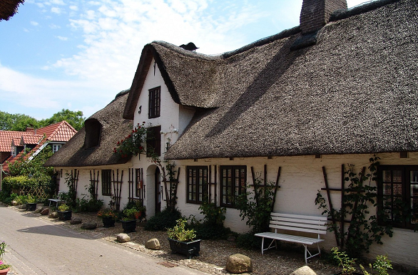 Huis met rieten dak