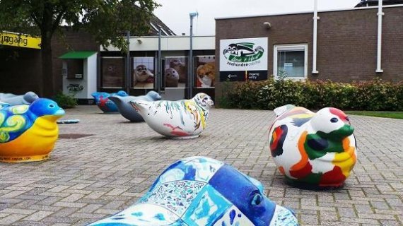 Pieterpad Pieterpad Zeehonden crèche