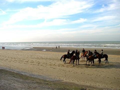 Strand de Panne België