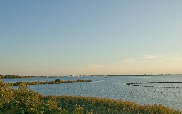 Lauwwersmeer