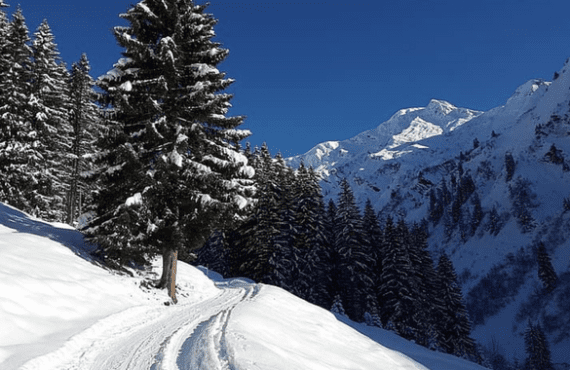 Winterbeleving volgens Fitál Winterbeleving volgens Fitál