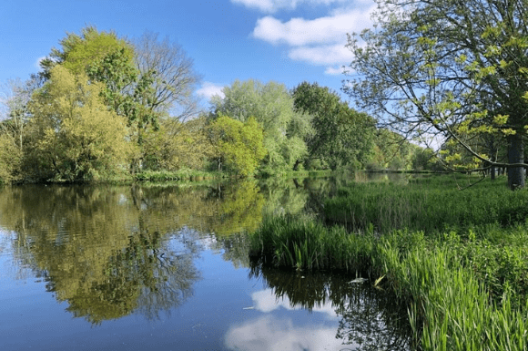 Fietsvakantie Delftse Hout