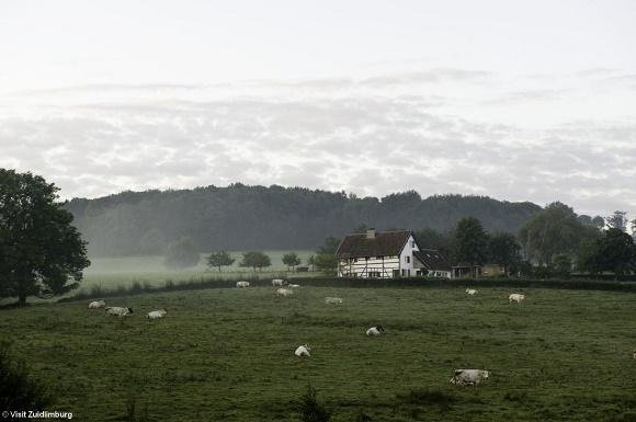 Vakwerkhuisje in landschap