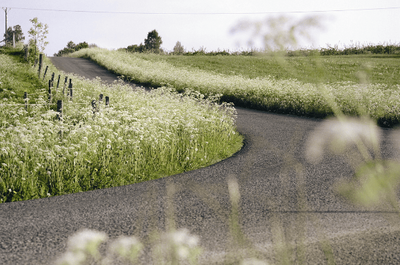 Fietsen door het Hart van Zweden (Lezersreis)