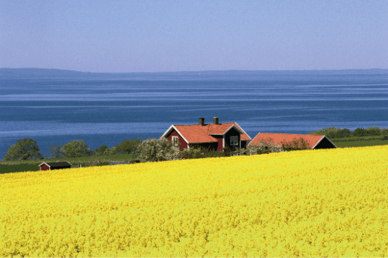 Fietsen door het Hart van Zweden (Lezersreis)