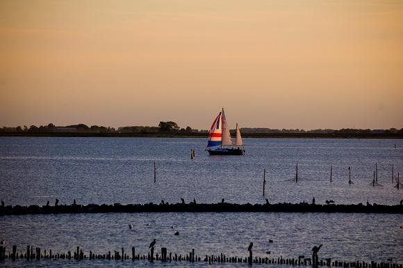 Lauwersmeer