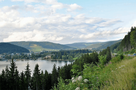 Wandelvakantie door Zwarte Woud naar Bodensee