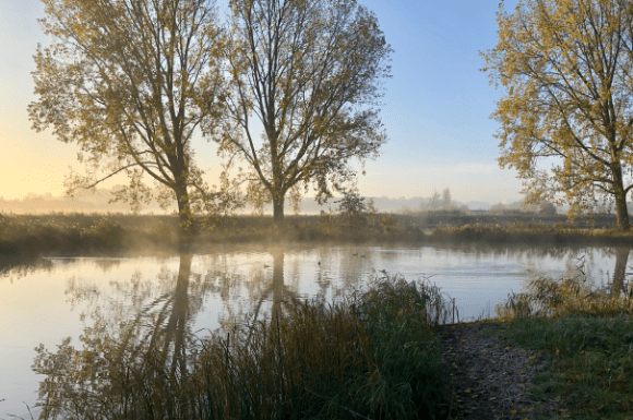 Fietsvakantie Delftse Hout