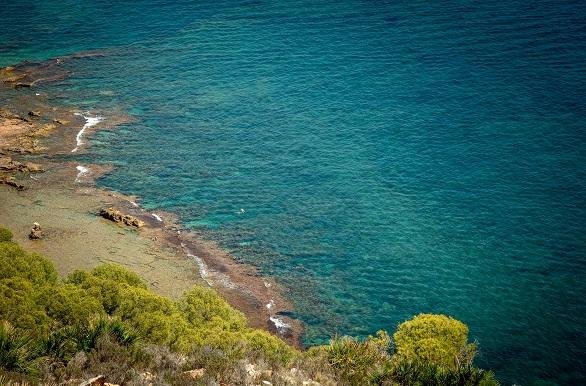 Calas les rotes