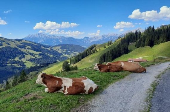 Wandelvakantie Pinzgau - Habachtal Wandelvakantie Pinzgau - Habachtal