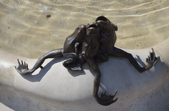 Doijn fontein kikker 2