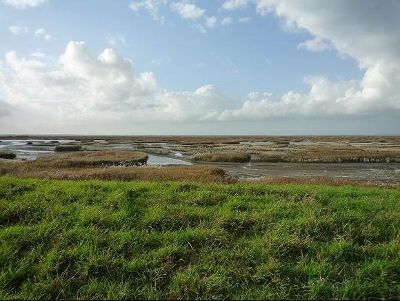 Zeeland Verdronken land van Saeftinghe