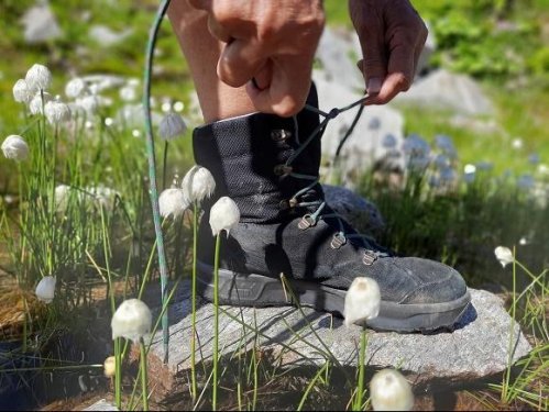 Wandelschoenen Wandelschoenen