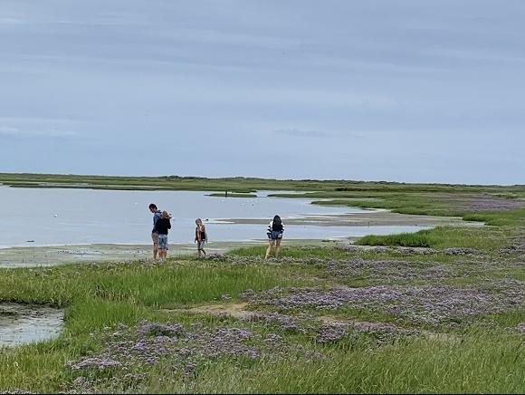 Schiermonnikoog