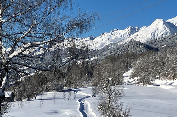 Besneeuwde bergen