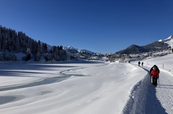 Wandelen door sneeuw