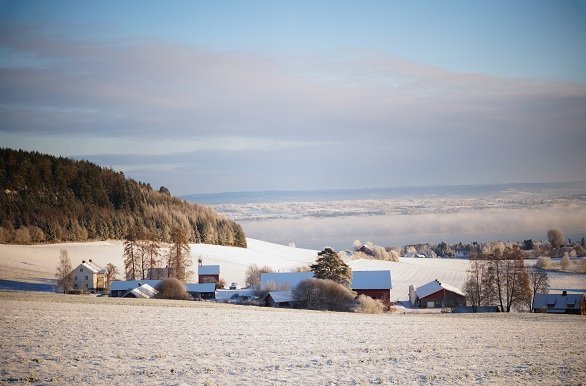 Huizen op de berg