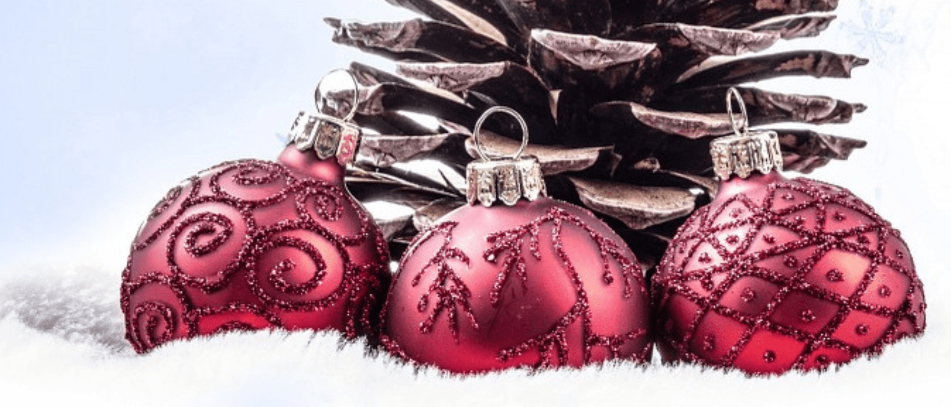 Het Fital-team wenst u goede Kerstdagen toe!