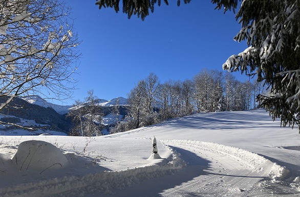 Sneeuwpad