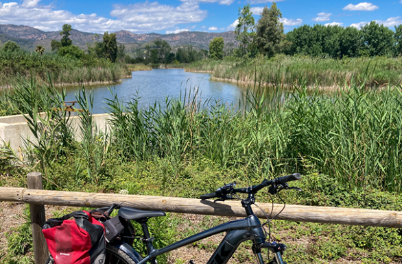 Marjal Pego Plankier