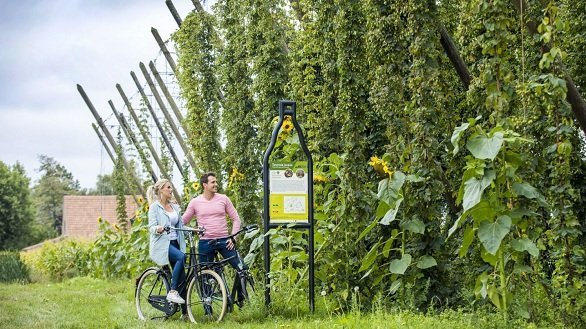 Omgeving Ieper Hopveld met fietsers