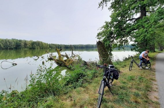 Meer Meer met fietsen